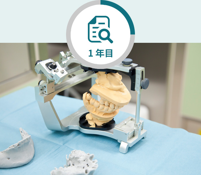 キャリアプラン